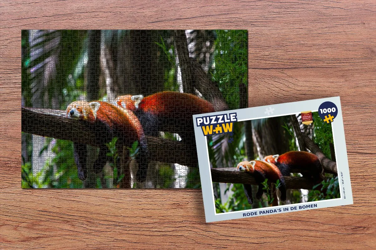 PuzzleWow Boom Legpuzzel 1000 Stuks - Multicolor