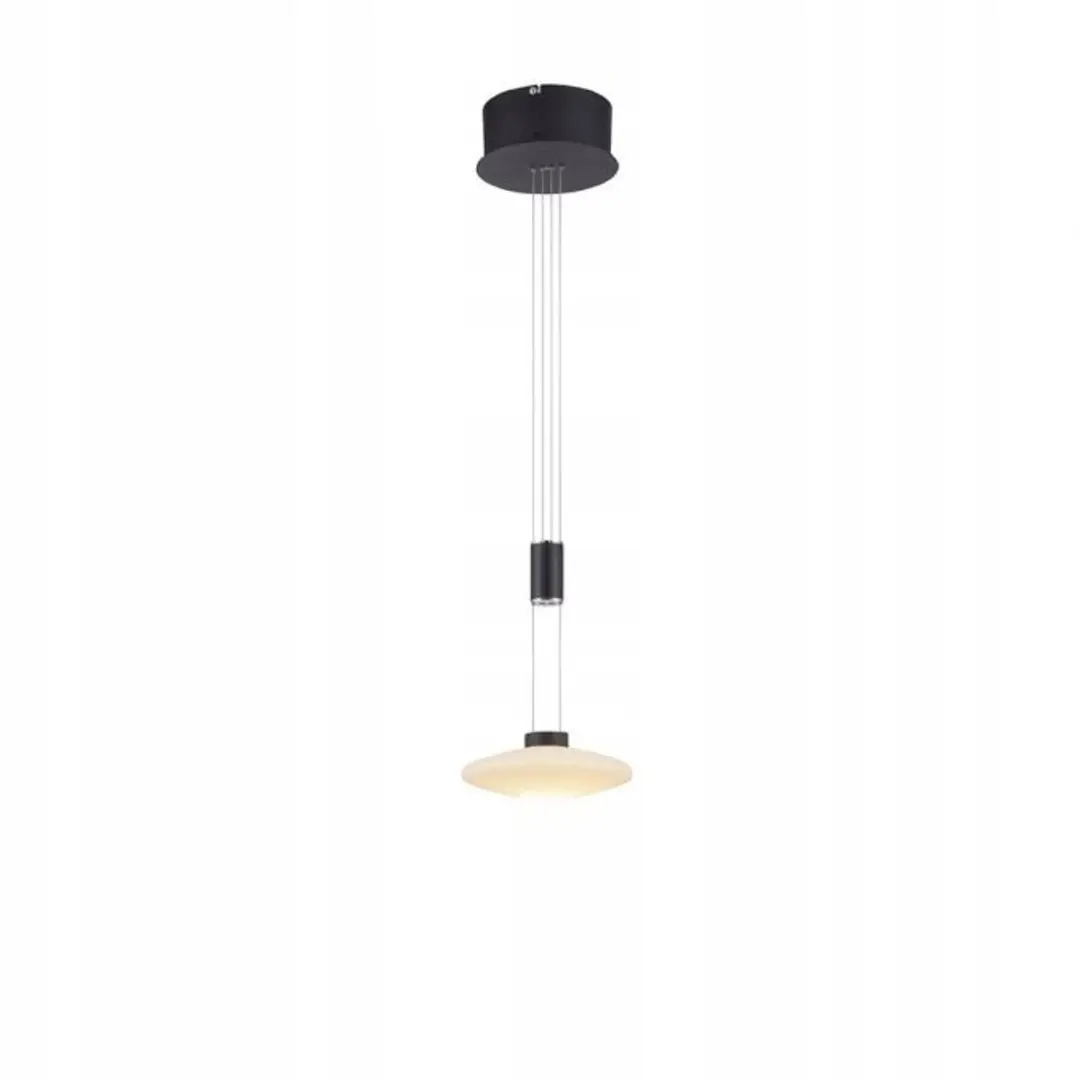 Paul Neuhaus Lautada LED Hanglamp Zwart 7.5W