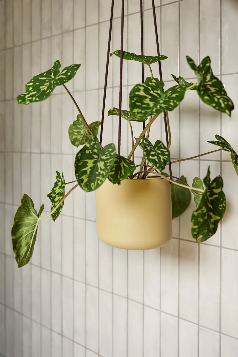 Hübsch Bloom Hangpot - Beige - 3 Stuks - afbeelding 3 van 4