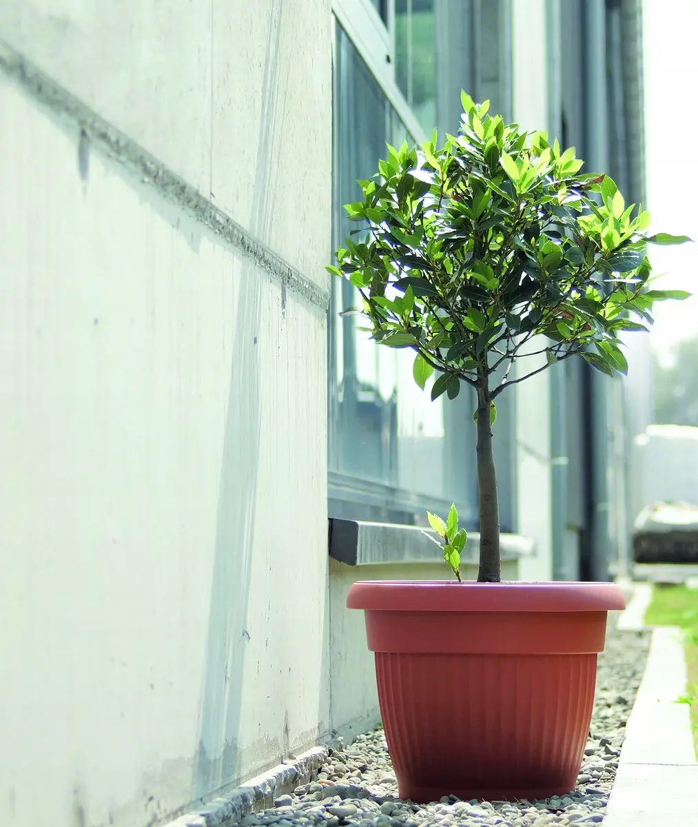 Prosperplast Terra Nova Bloempot 40cm - Terrakleur - afbeelding 2 van 4