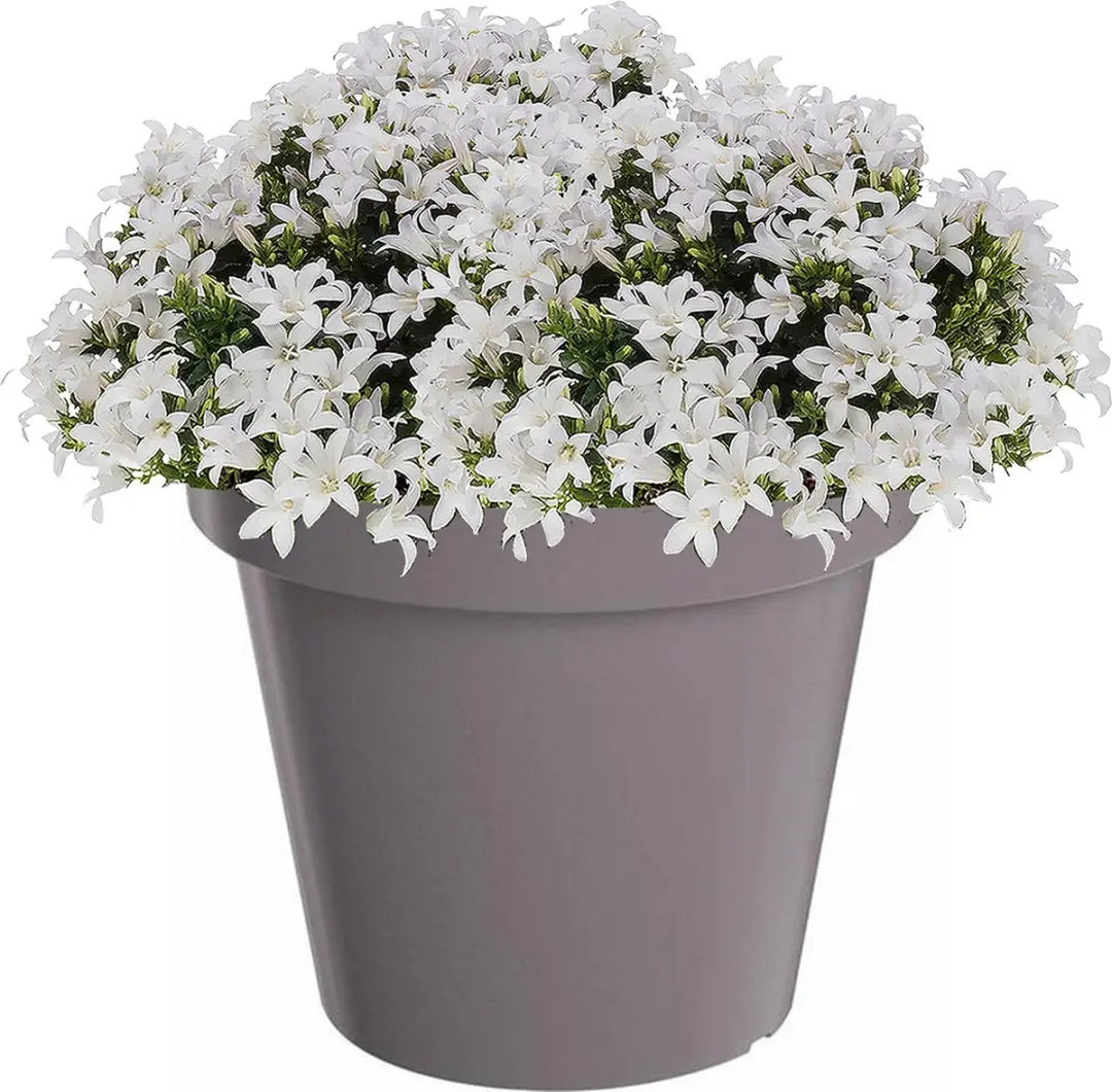 Prosperplast LOFLY Bloempot 60x52cm - Betongrijs - afbeelding 2 van 5