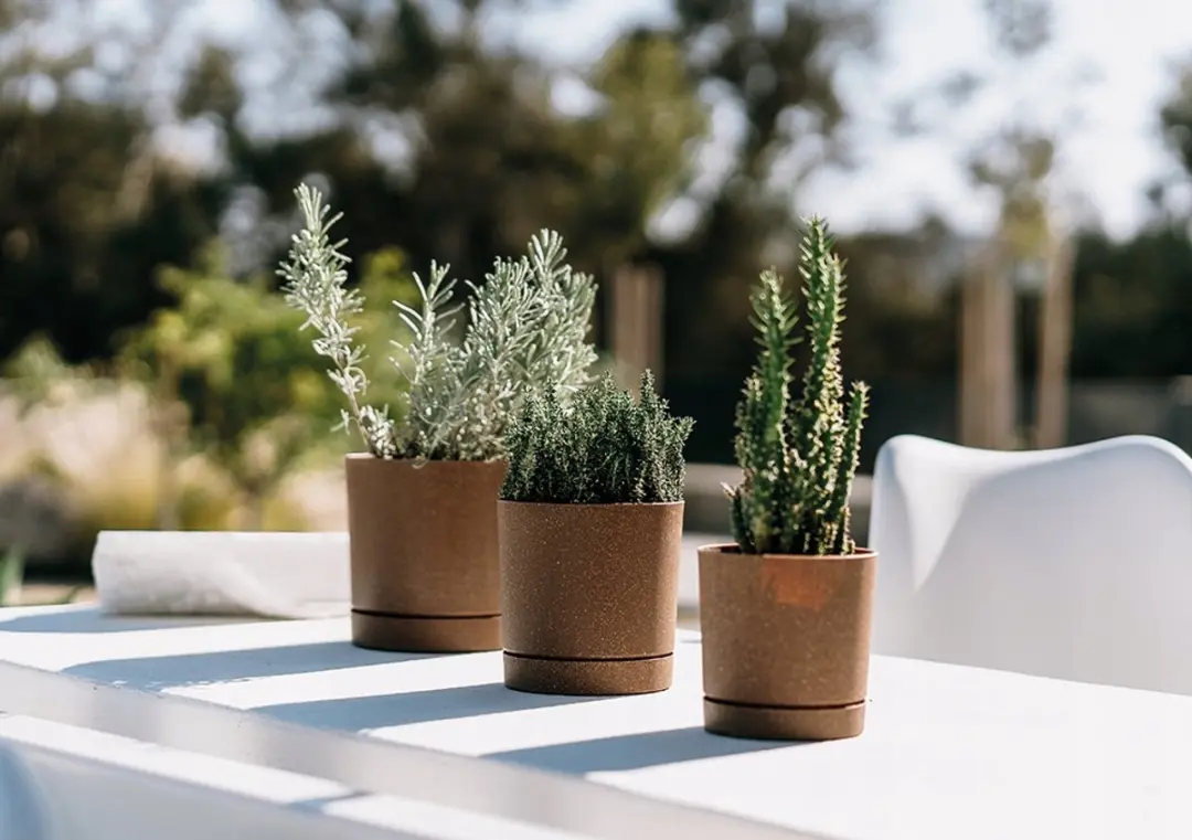 Prosperplast Tubo P Eco Wood Bloempot Ø19,9cm Wit - afbeelding 2 van 4