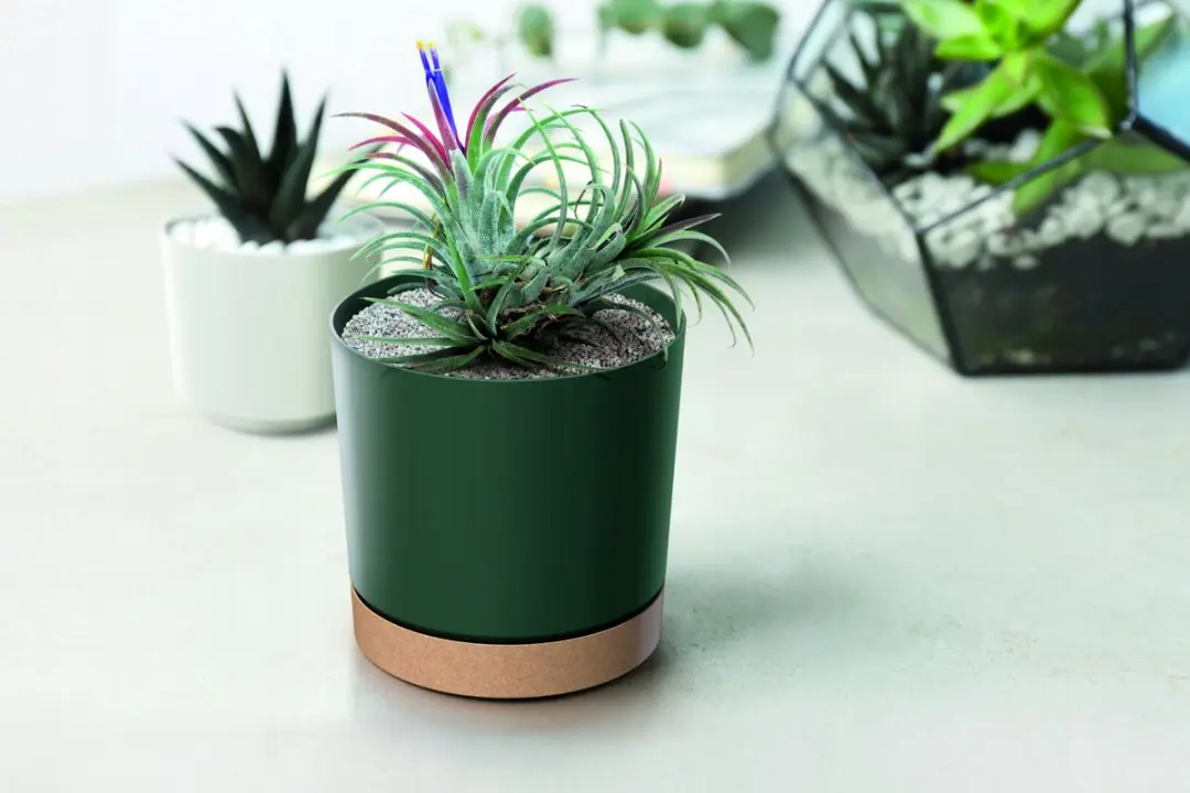 Prosperplast Tubo PM Bloempot 39cm - Groen - afbeelding 4 van 5