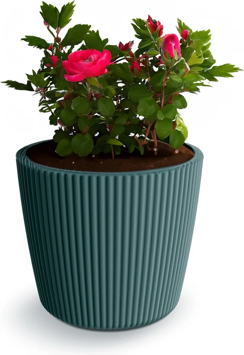 Prosperplast Plantenpot/bloempot Buckingham
