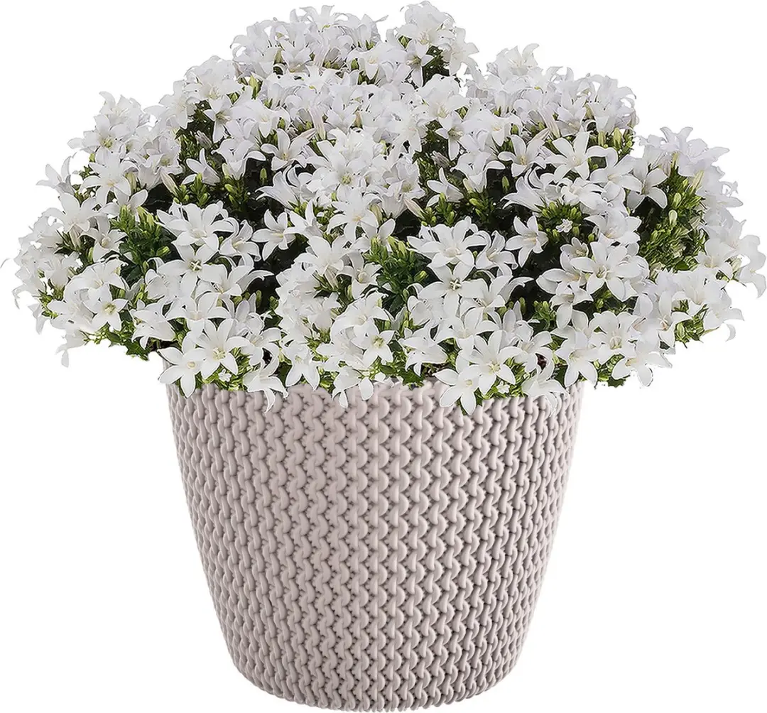 Prosperplast Splofy Bloempot 19cm - Taupe - afbeelding 2 van 2