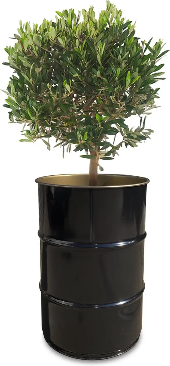 Barrelkings Olievat Plantenbak 60L - Zwart - afbeelding 4 van 6