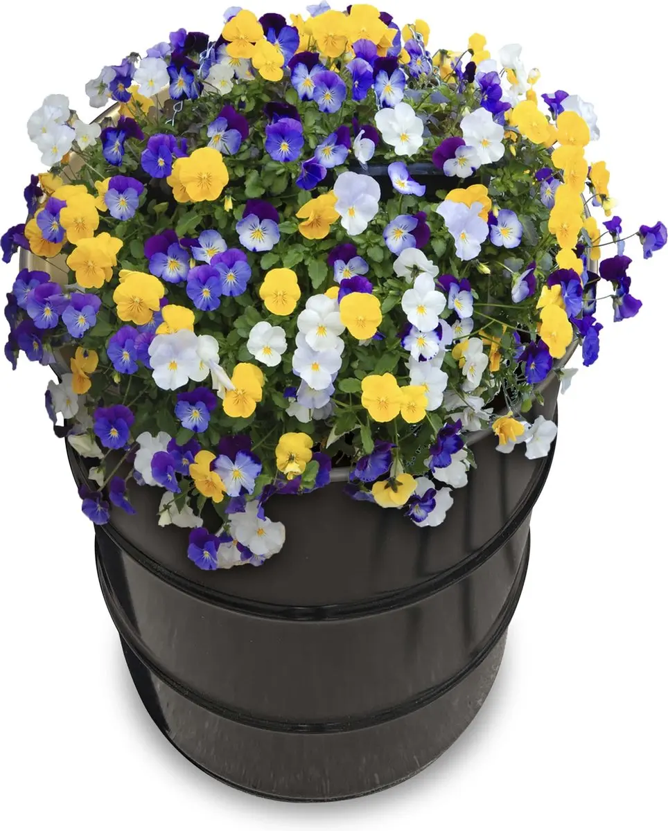 Barrelkings Olievat Plantenbak 60L - Zwart - afbeelding 6 van 6