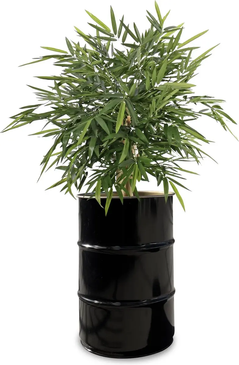 Barrelkings Olievat Plantenbak 60L - Zwart - afbeelding 5 van 6