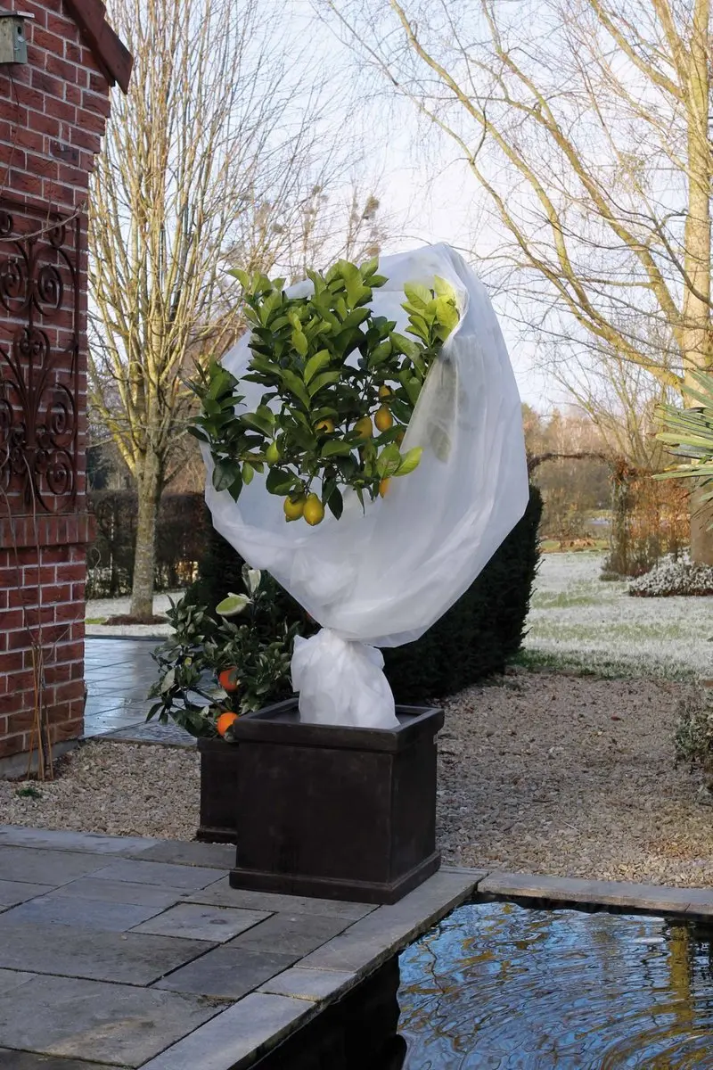 Nature Winterafdekvlies 10m 30g/m² Wit - afbeelding 2 van 6