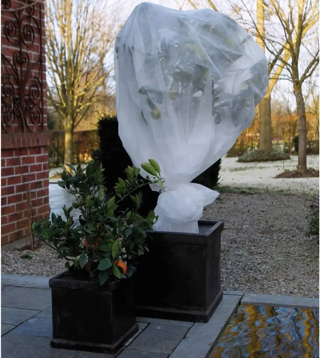Nature Winterafdekvlies 10m 30g/m² Wit - afbeelding 4 van 6