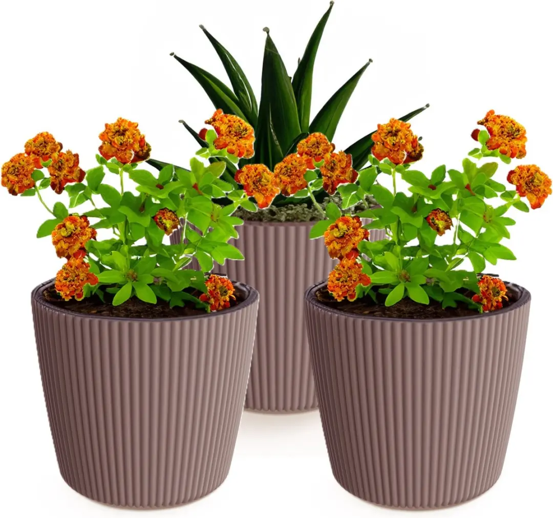 Prosperplast Plantenpot/bloempot Buckingham