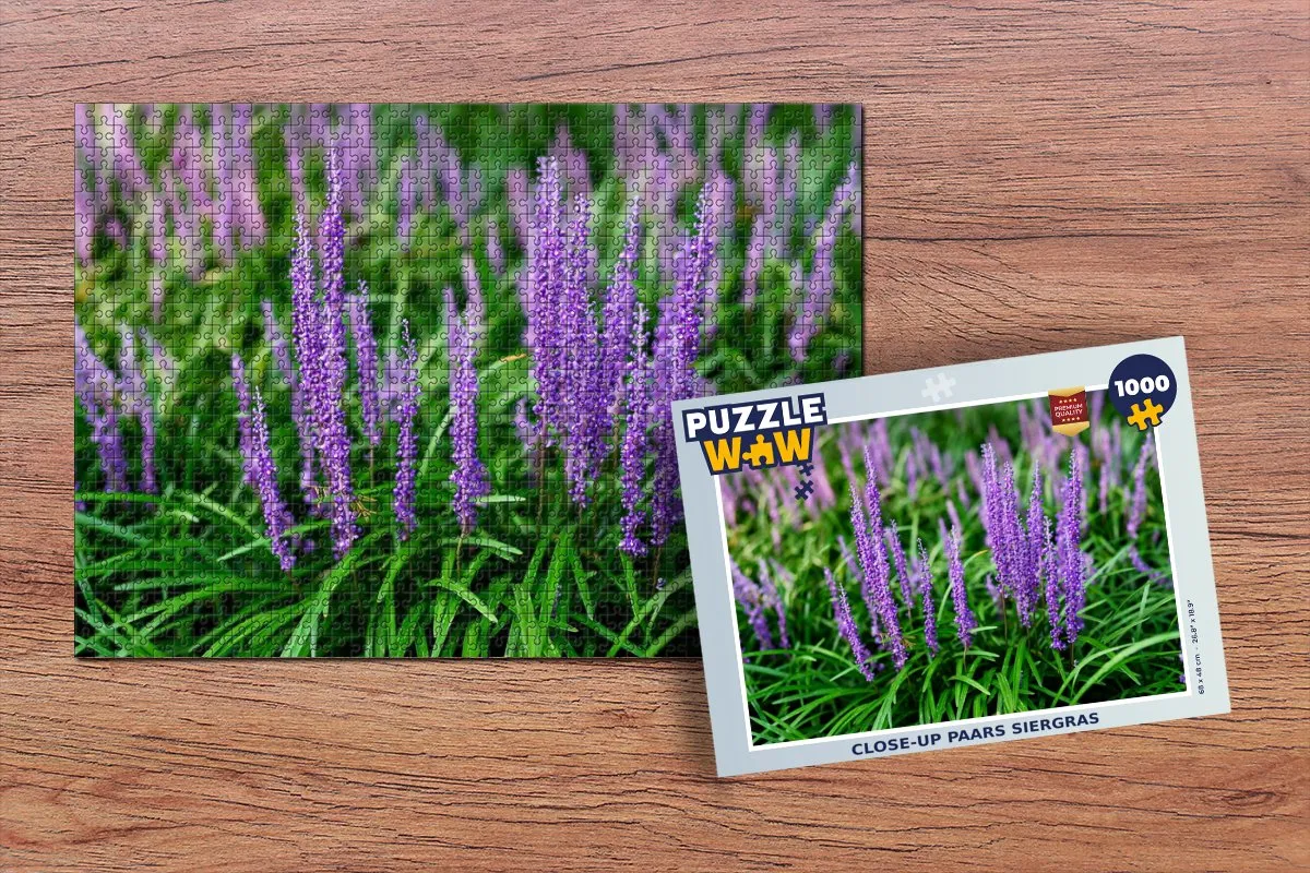 PuzzleWow Close-up Paars Siergras Legpuzzel 1000 Stuks