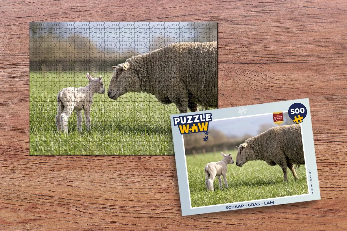 PuzzleWow Schaap Legpuzzel 500 Stuks - Multicolor