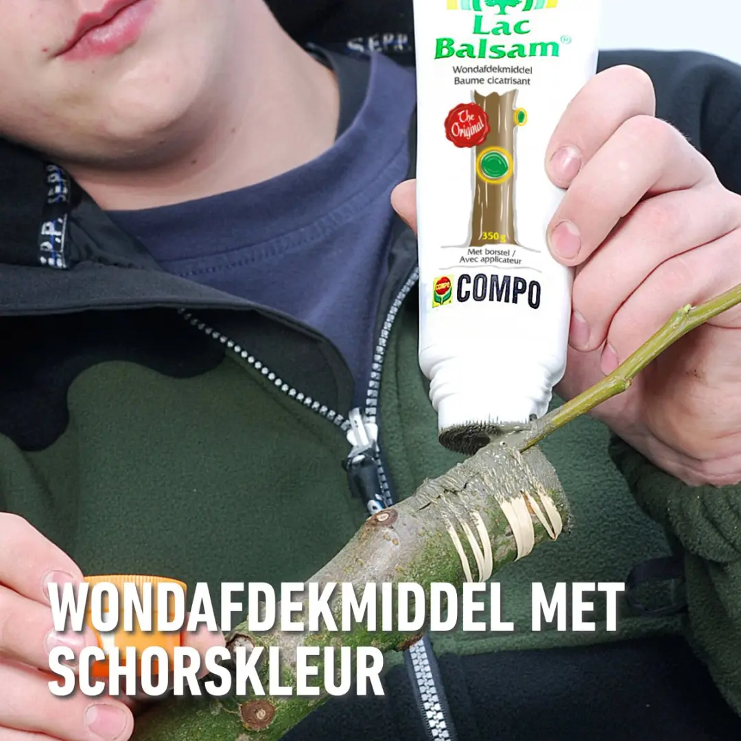 Compo LacBalsam Wondafdekmiddel 350g - afbeelding 5 van 6