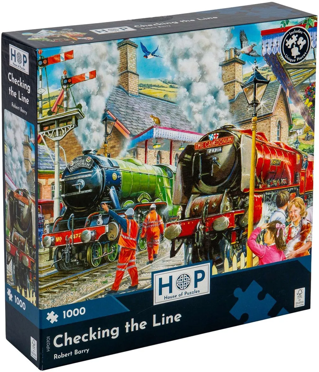 House Of Puzzles Checking the Line Legpuzzel 1000 Stuks - Multicolor