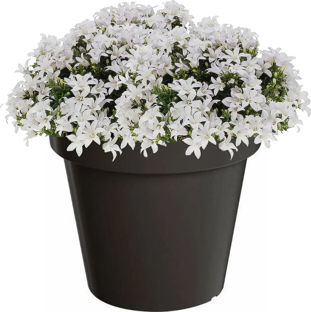 Prosperplast LoFly Bloempot 30L - Antraciet - afbeelding 2 van 5