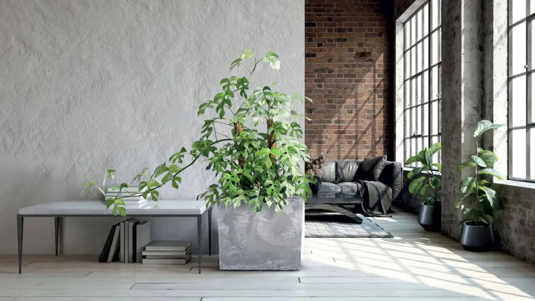 Prosperplast Urbi Case Bloempot Beton Grijs 58x18x49.8cm