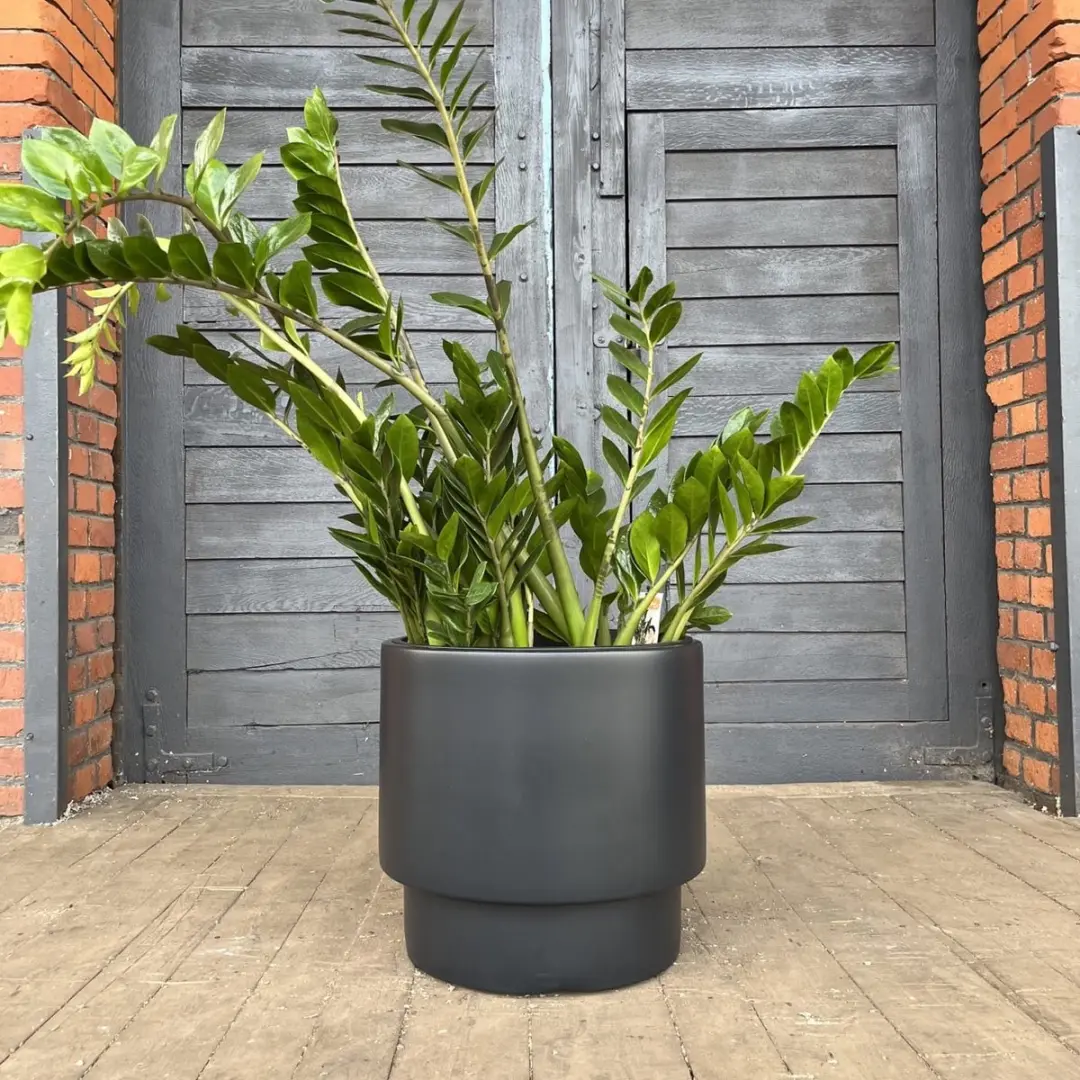 Prosperplast Heos N Slim Bloempot 40cm Antraciet - afbeelding 3 van 4