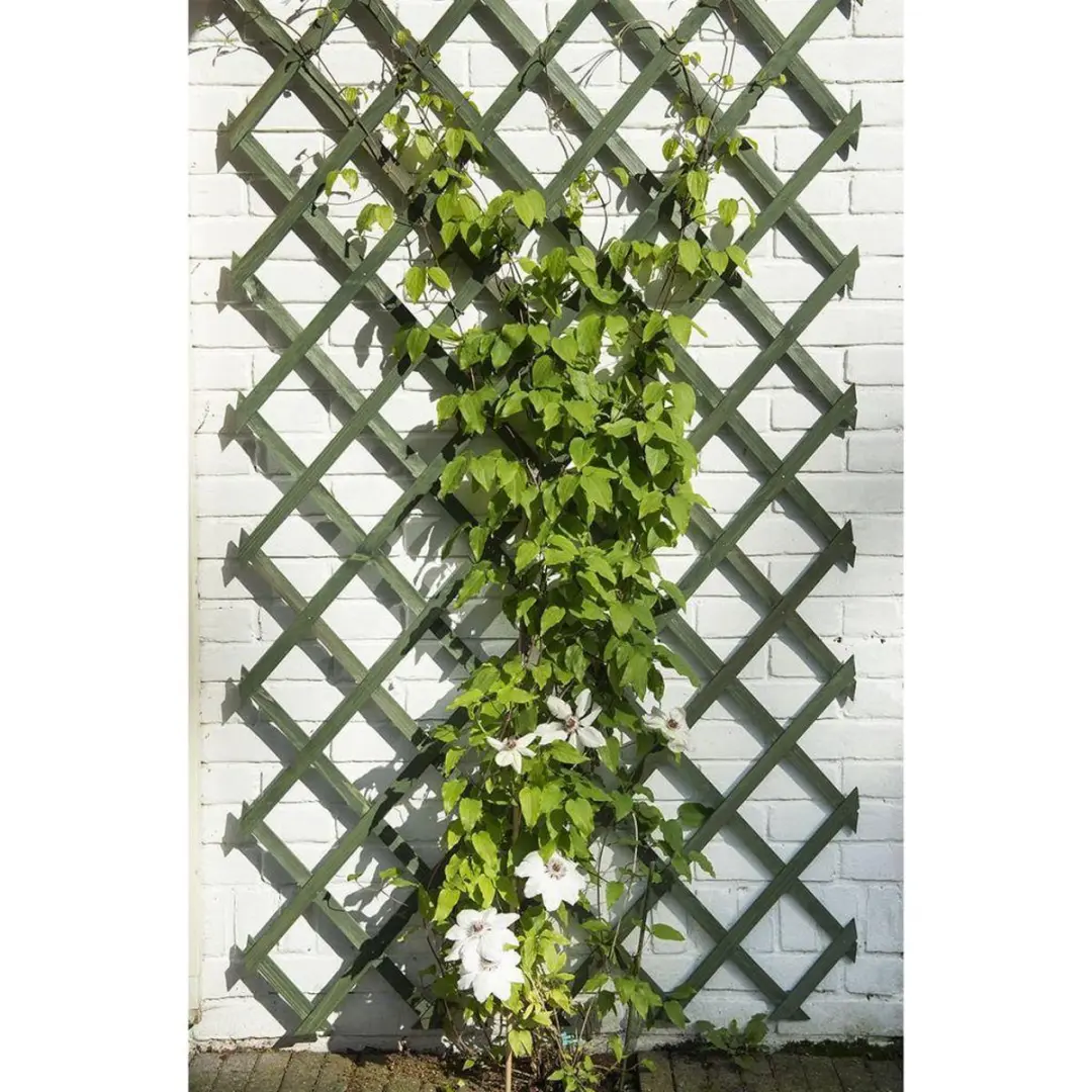 Nature Houten Klimrek 50x150cm Groen - afbeelding 6 van 6