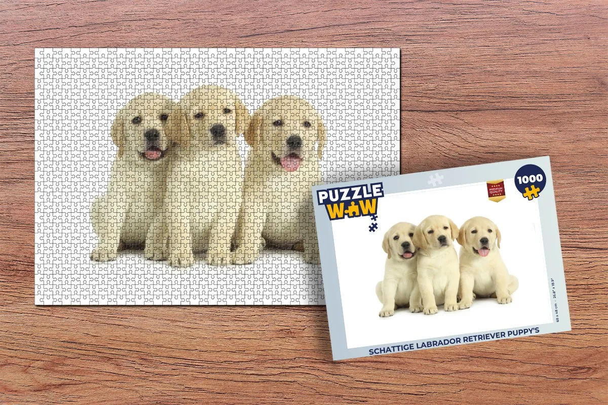 PuzzleWow Labrador Retriever Legpuzzel 1000 Stuks - Multicolor