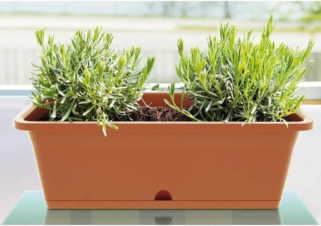 Prosperplast Camelia Bloempot 15,5L Terracotta - afbeelding 6 van 6