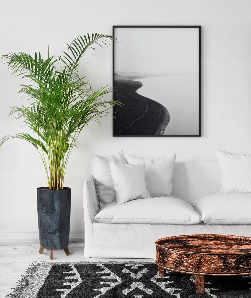 Prosperplast Gracia Tubus Slim Bloempot 24cm Antraciet - afbeelding 2 van 5