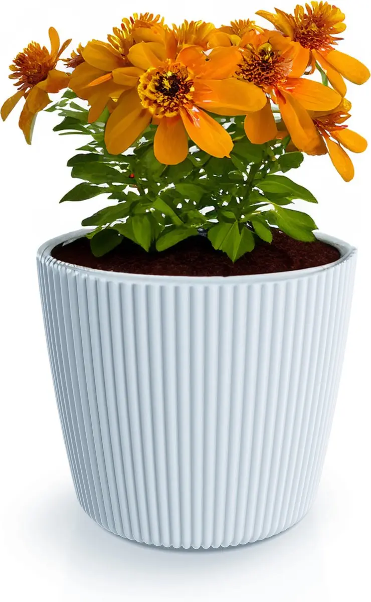 Prosperplast Plantenpot/bloempot Buckingham