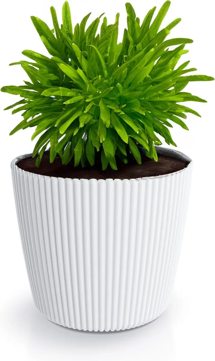 Prosperplast Plantenpot/bloempot Buckingham