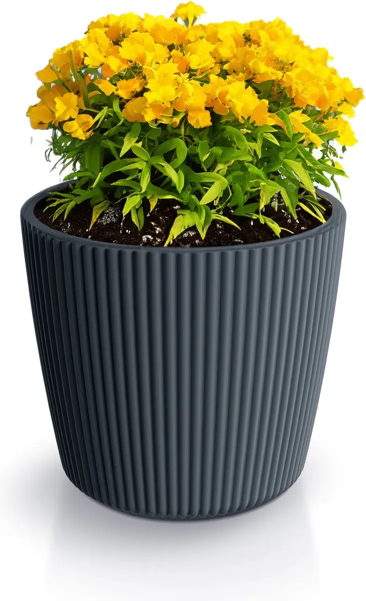 Prosperplast Plantenpot/bloempot Buckingham
