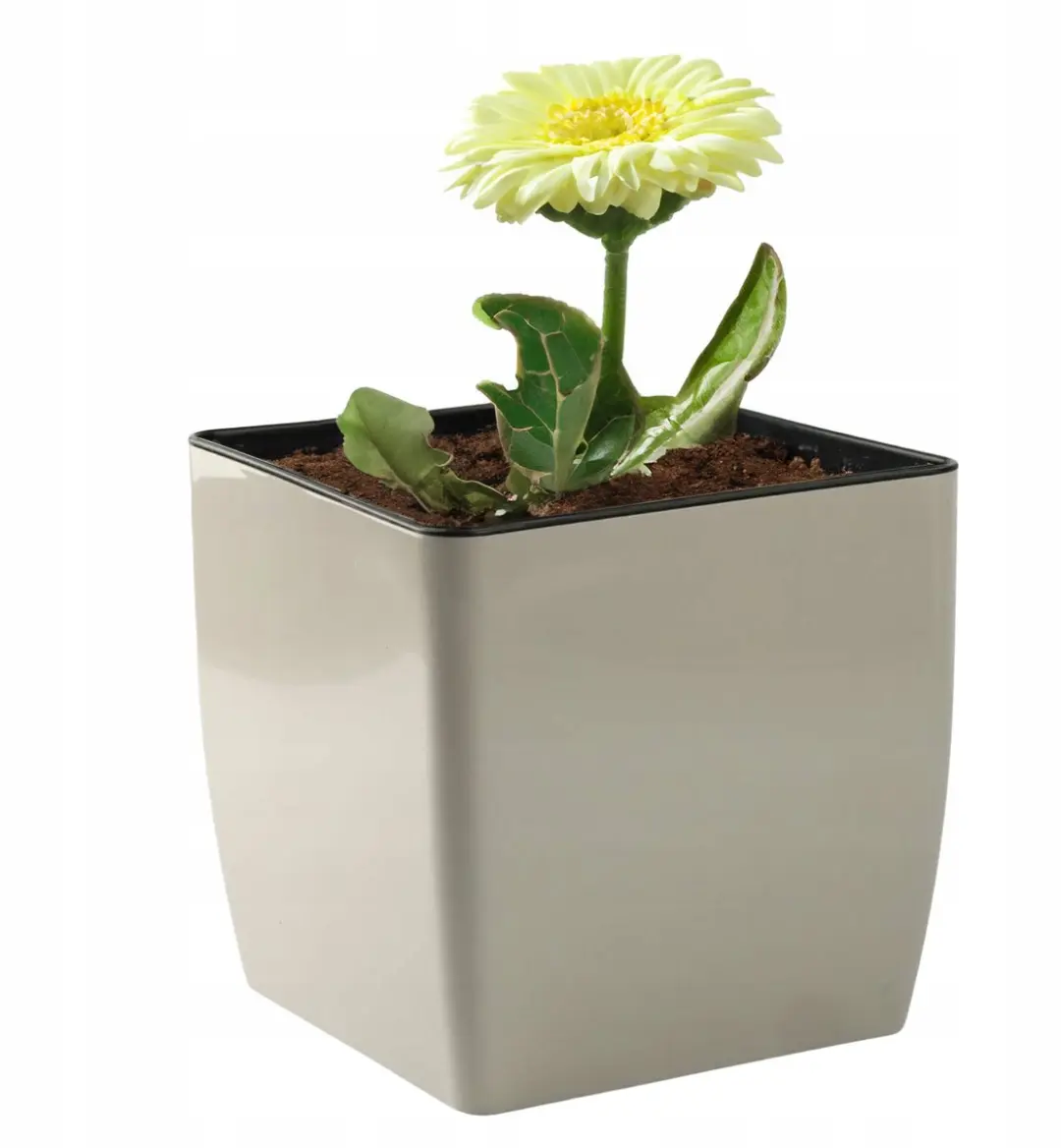 Viking Quadro Vierkante Pot met Inzet Beige 16cm