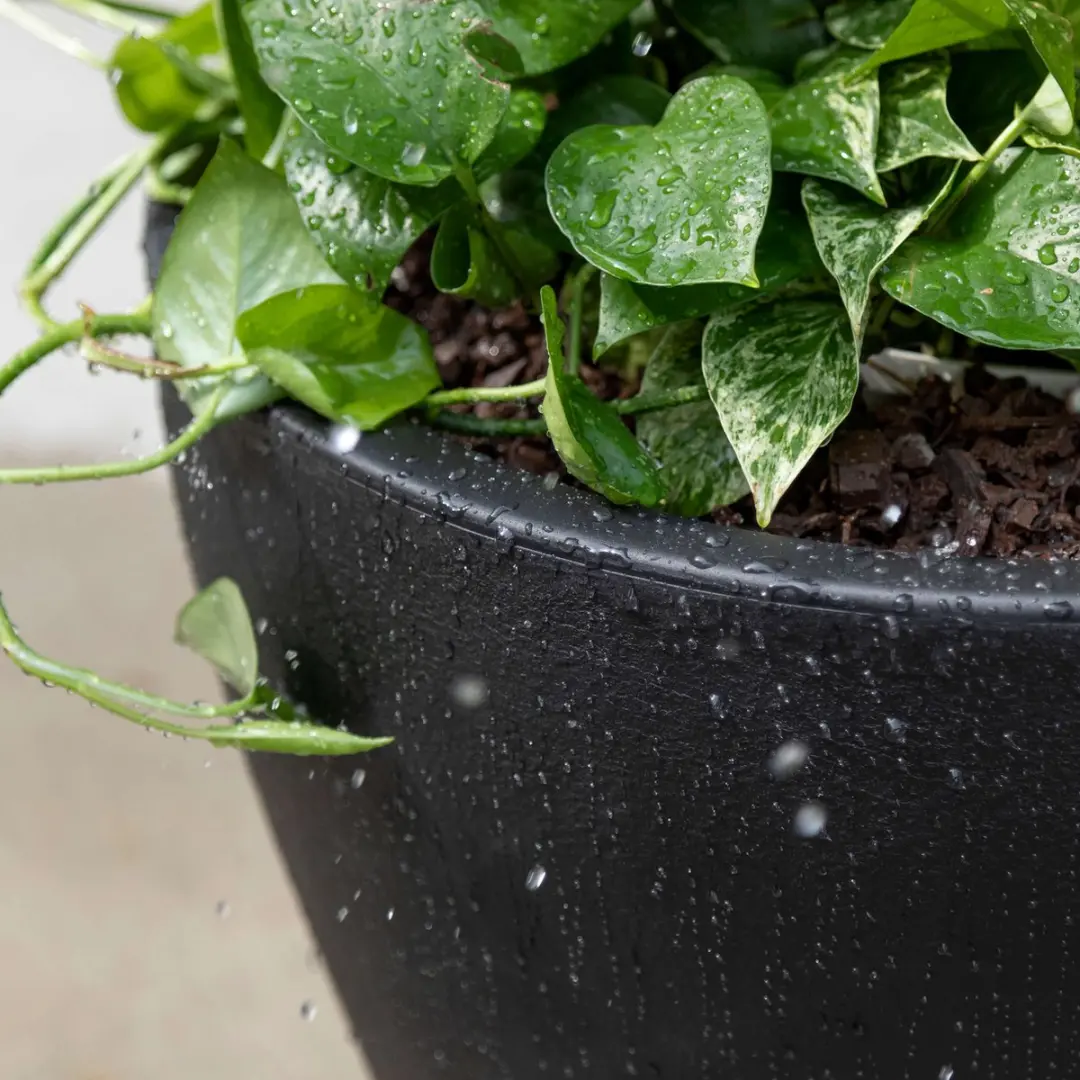 Step2 Fernway Bloempot Onyx Zwart 35L - afbeelding 4 van 6