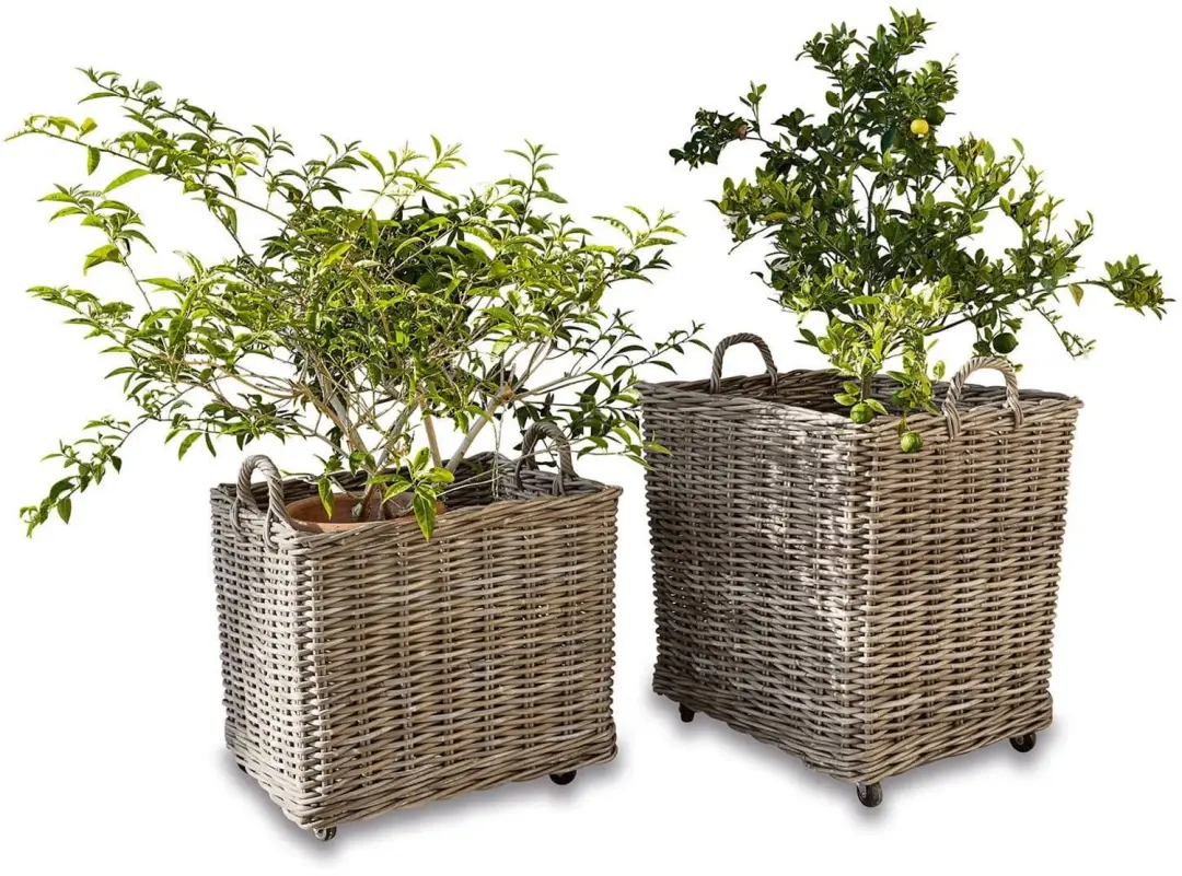 Loberon Plantenmand Gialousa