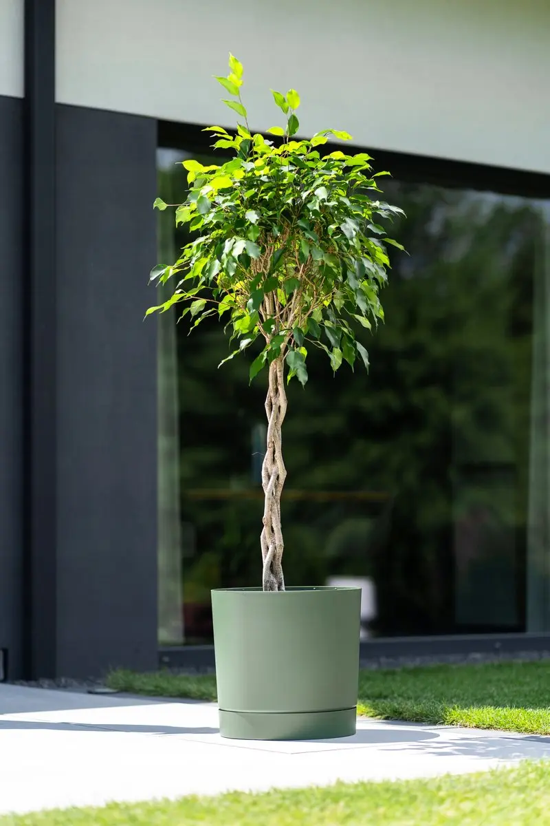 Prosperplast Tubo P Bloempot 30cm - Dennengroen - afbeelding 2 van 5