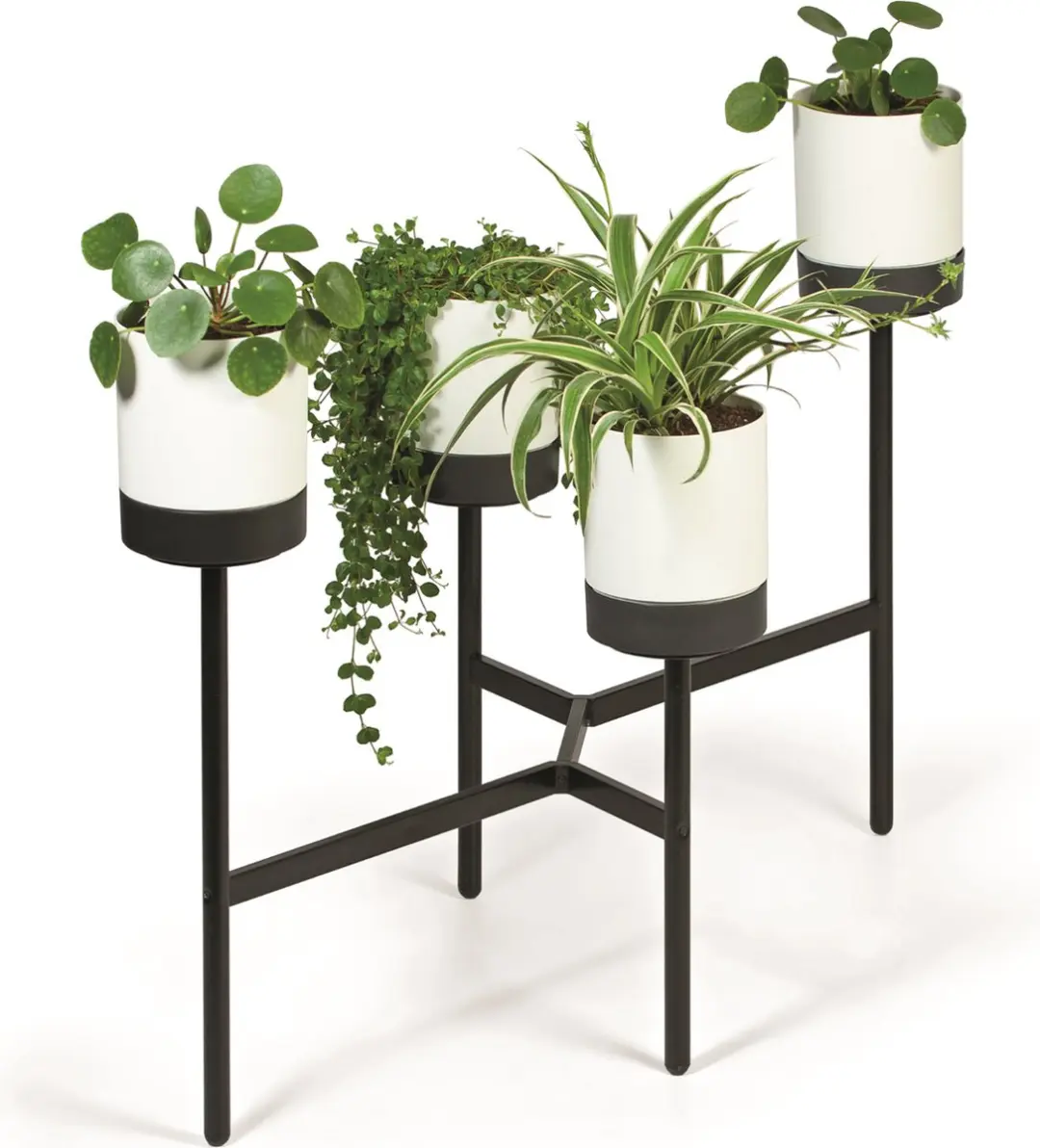 Prosperplast Bloomie Stand Wit - 4 Potten - afbeelding 2 van 3