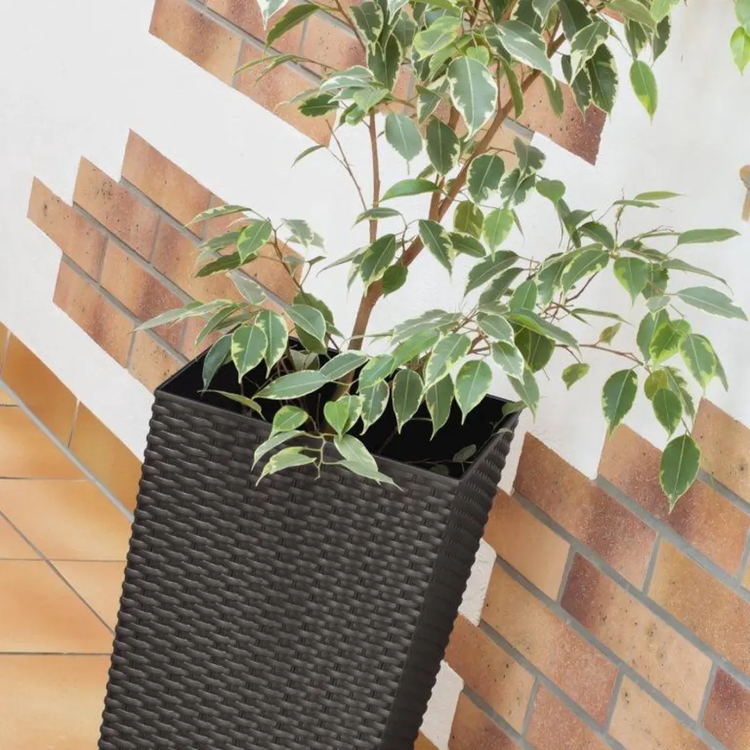 Prosperplast Rato Bloempot - 32.5x32.5x61cm - Bruin - afbeelding 4 van 4