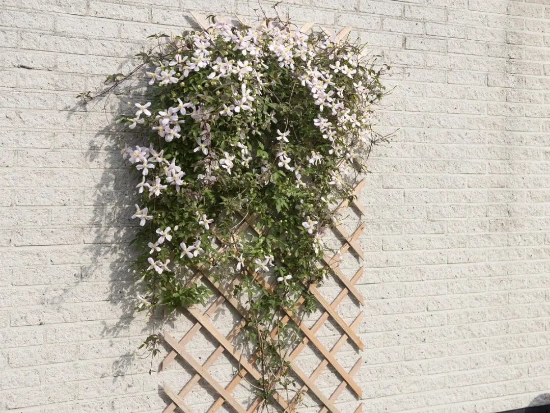 Nature Houten Klimrek 100x300cm Bruin - afbeelding 5 van 6