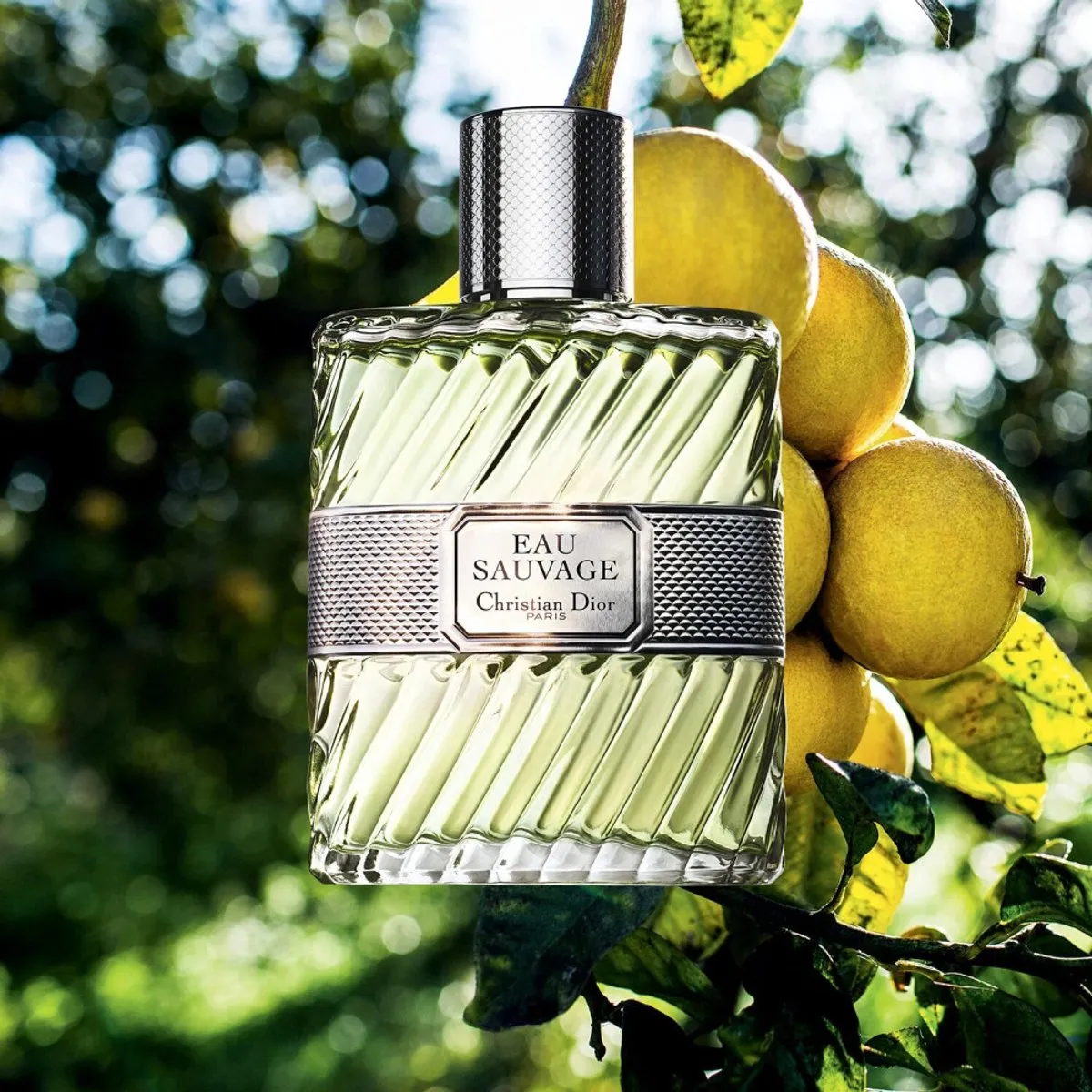 Dior Eau Sauvage Herenparfum - 50ml