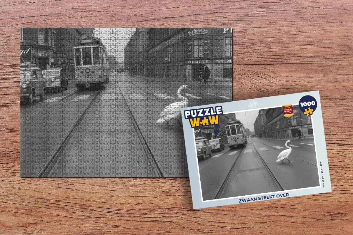 PuzzleWow Legpuzzel Zwaan steekt over 1000 Stuks - Multicolor