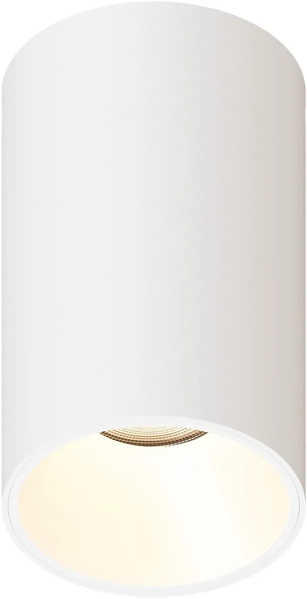 LEDVION LED Opbouwspot Rond Ø80mm GU10
