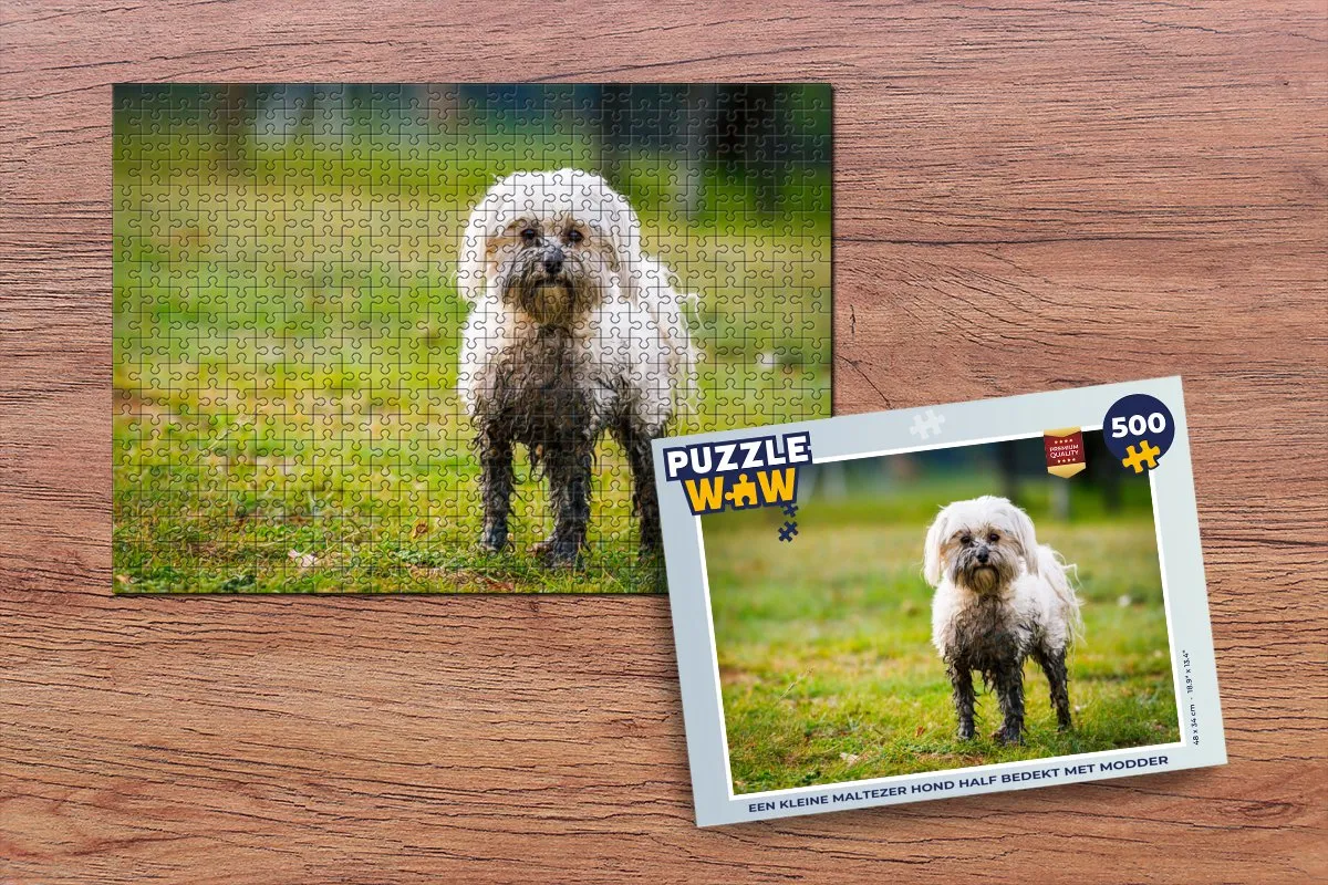 PuzzleWow Legpuzzel Een kleine Maltezer hond