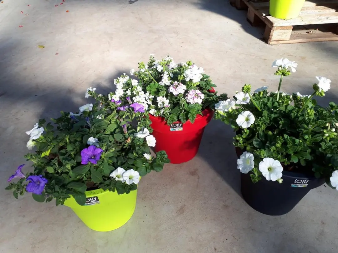Prosperplast Lofly Bloempot 50cm Antraciet - afbeelding 4 van 6