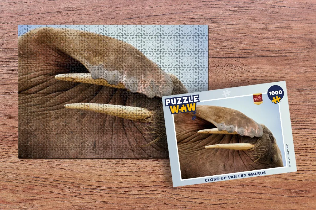 PuzzleWow Walrus Legpuzzel 1000 Stuks - Multicolor