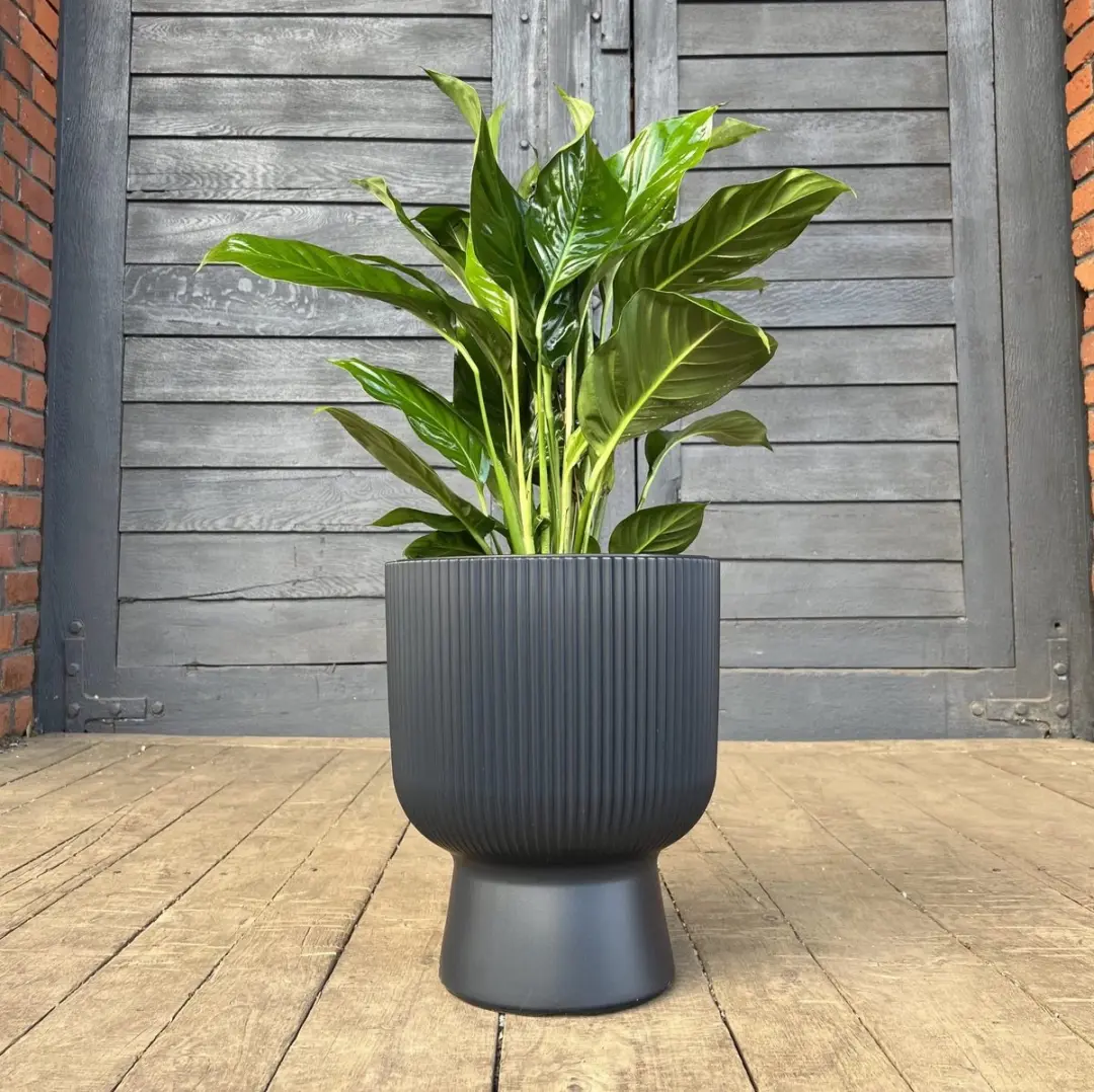 Prosperplast Milly Bloempot 30cm - Antraciet - afbeelding 3 van 3