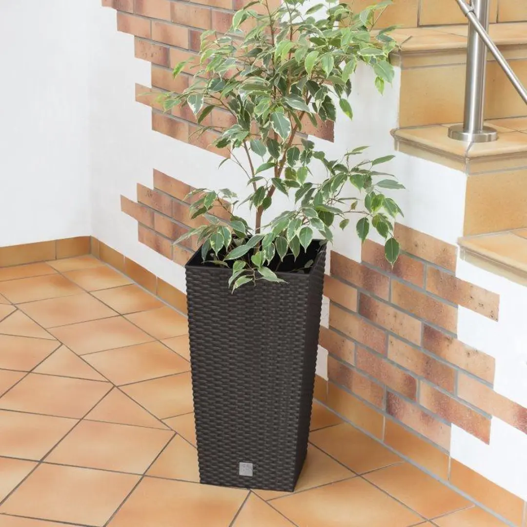 Prosperplast Rato Square Bloempot 27x27x50cm - Umber Bruin - afbeelding 5 van 6