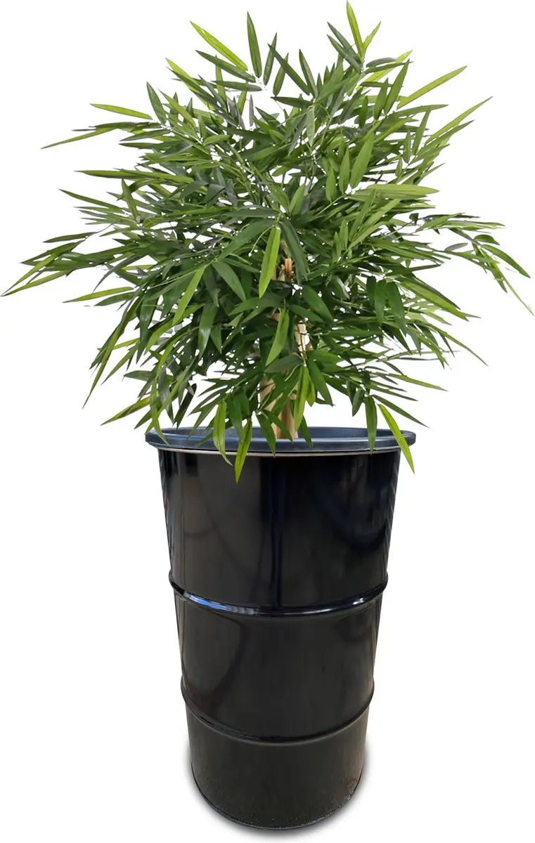 Barrelkings Olievat Plantenbak 120L