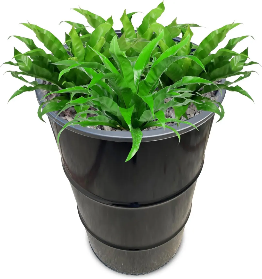 Barrelkings Olievat Plantenbak 120L - Zwart - afbeelding 4 van 4