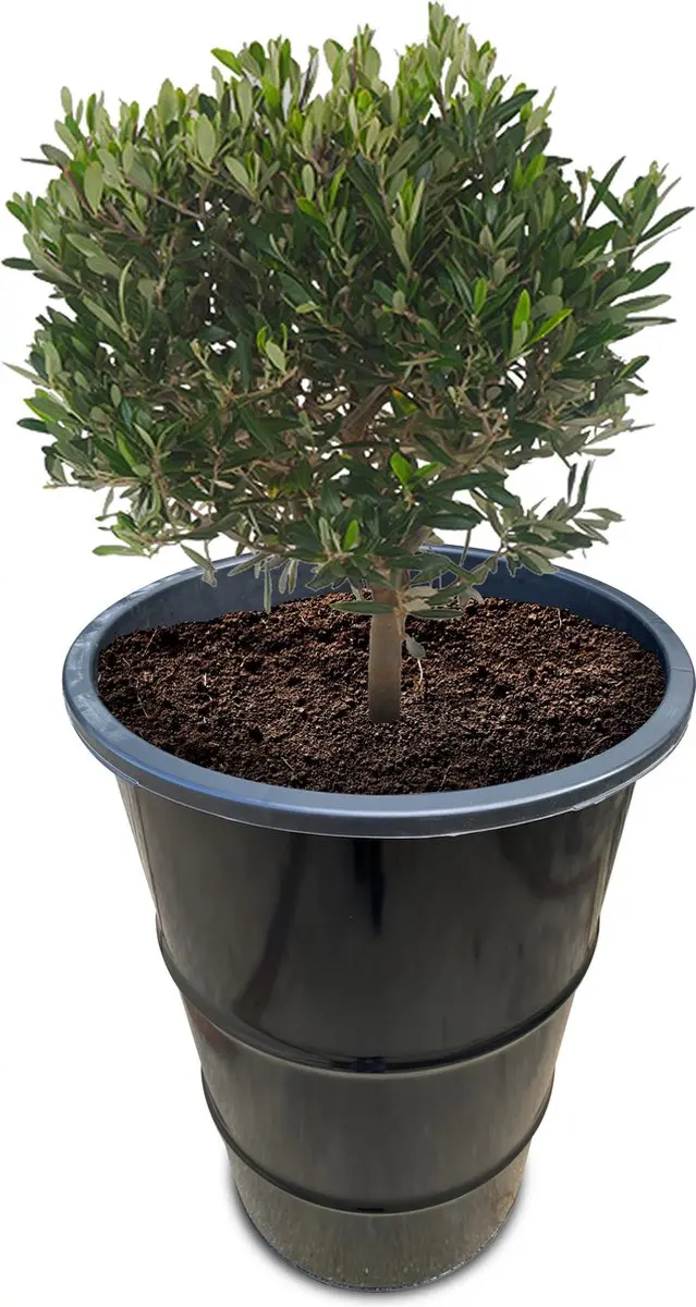 Barrelkings Olievat Plantenbak 120L - Zwart - afbeelding 2 van 4