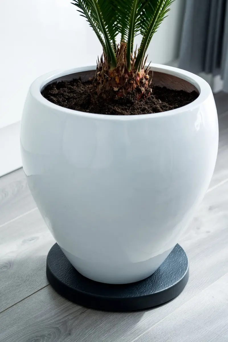 Nature Planttrolley Ø29cm - Zwart - afbeelding 2 van 6
