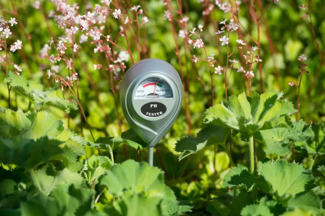 Nature pH-meter Grijs - afbeelding 4 van 5