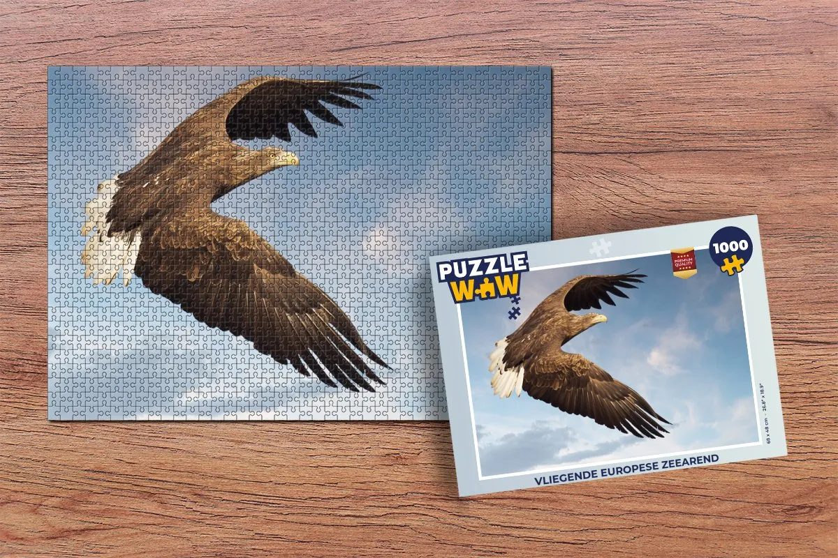 PuzzleWow Vliegende Europese Zeearend Legpuzzel 1000 Stuks - Multicolor